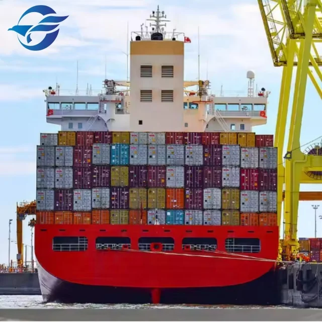 ddp shipping agent  /fba freight forwarder to  USA /uk /Canada/France/Germany /Netherlands /Spain for international freight