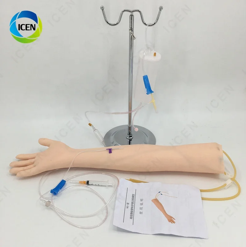 IN-M7 Amain Good Quality Injection Training Hand Arm Venipuncture Practice Model Intramuscular Training Model For Hospital