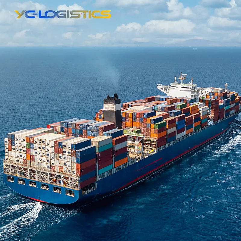 cheap sea freight from china to australia shipping rates from china to usa ddp service free shipping new zealand