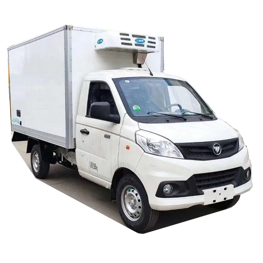 2020 Foton 4X2 6.6M3 Small Freezer Vehicle Mini Reefer Van Refrigerator Trucks for Sale