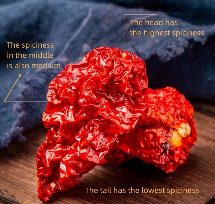 China Factory Supply High Quality Devil Pepper Dried Red Dry Ghost Chilli Powder Devil Pepper Super Spices For BBQ or Seasoning