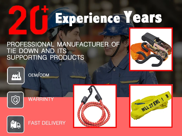 New Purple 50mm Ratchet Tie Down Strap With Double J & Ring Hooks And Flat Webbing Sling Cargo Ratchet Tie Downs