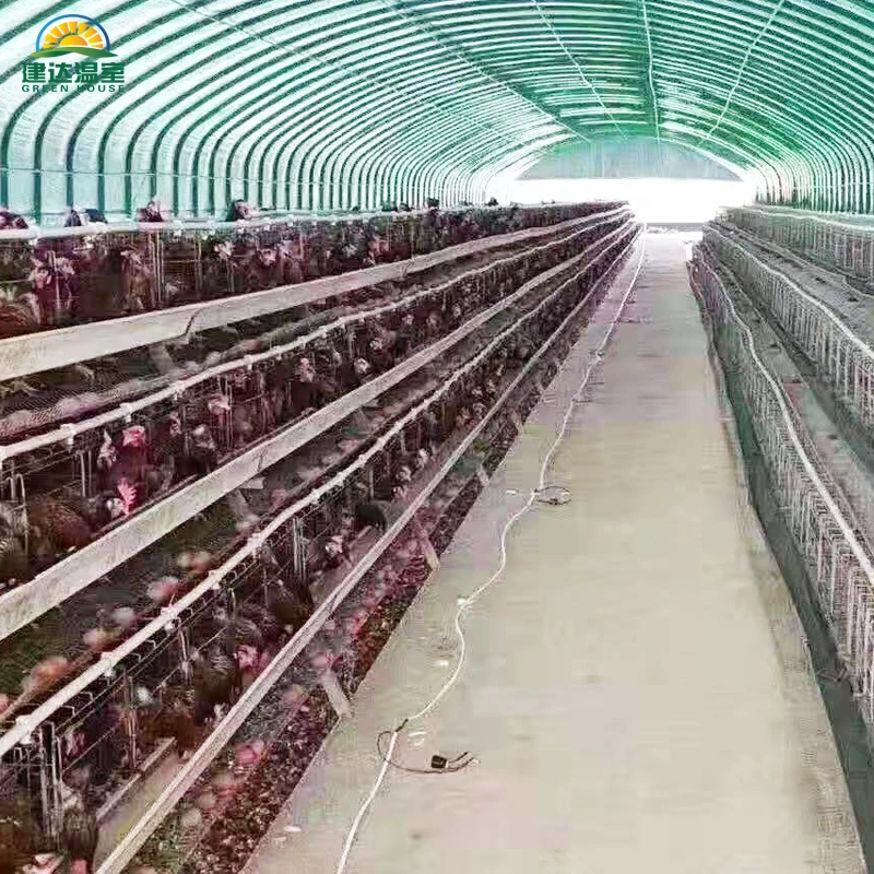 SUNSGH сделано в Китае теплица Агро/Агро Однопролетная пленка для птицы сарай Китай зеленый