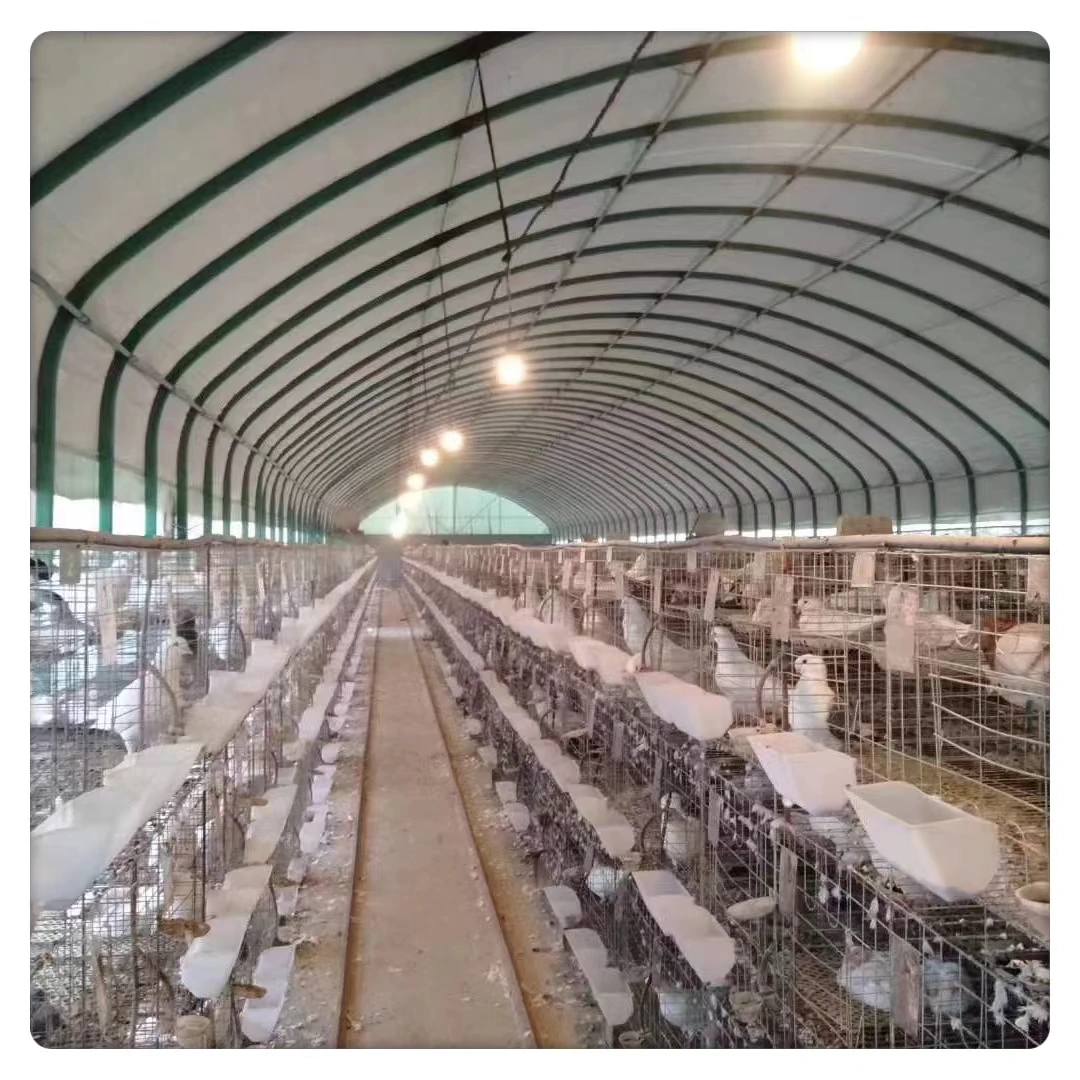 Large Scale Multi-Functional Commercial Greenhouse Farm Animal Plant Breeding poultry houses Single Layer Steel Film Agriculture