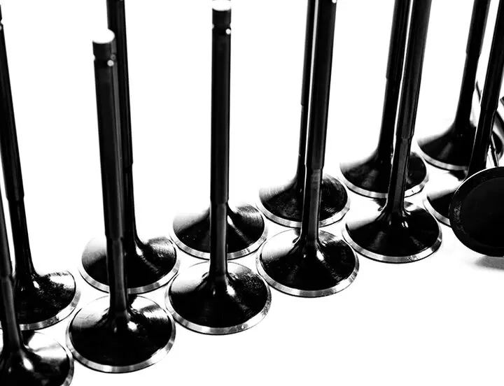 RF8 RD8 PF6 High Performance 13202-97104 13202-96003 13202-96004 Engine Valve