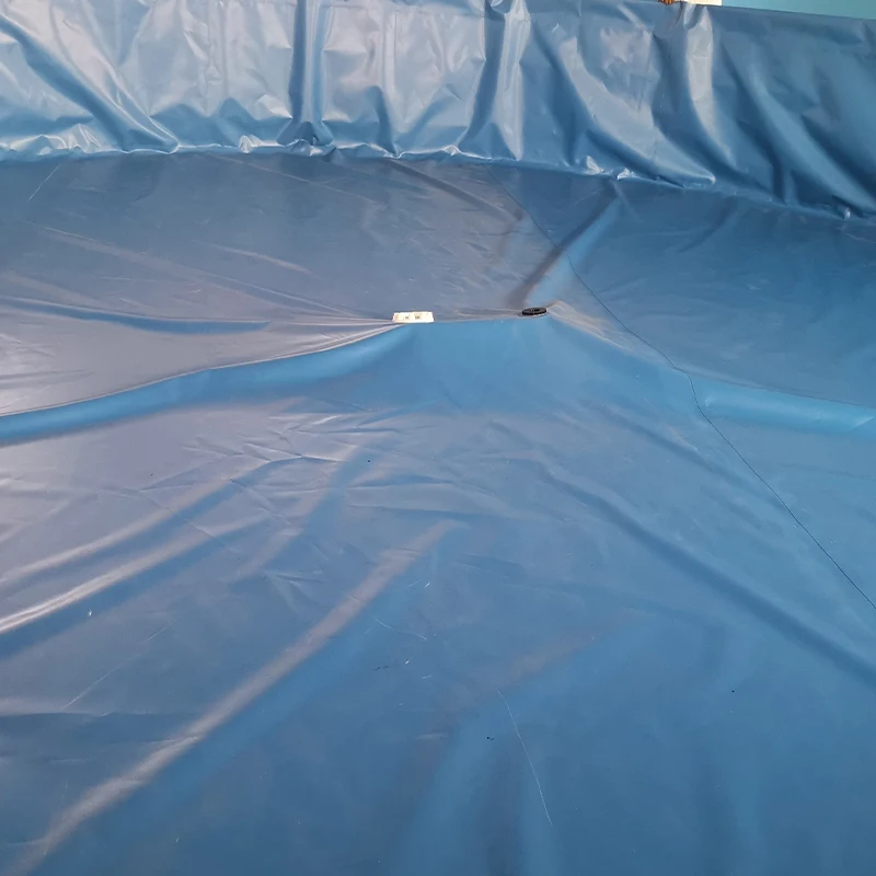 High Density Movable Aqua Fish Farming Pool Folding Tilapia Breeding Pond Ras Fish Tank With Best Price