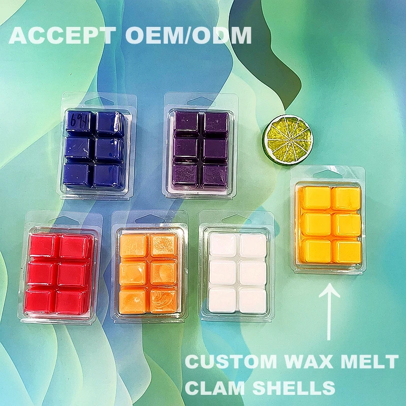 Customized  Caja De Blister  6 12 Cavity Wax Melt Box Packaging Tray Container Wax Melt Packaging Box With Hanger