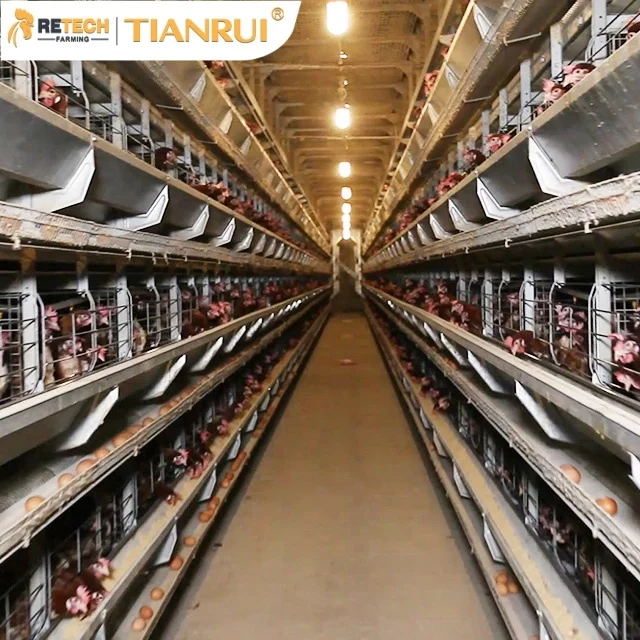 
Автоматическое многослойное оборудование для птицеводства RETECH, аккумуляторная система для яиц 