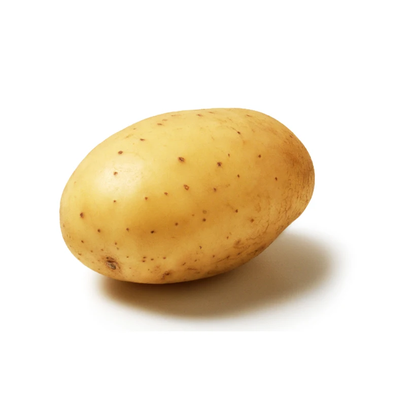 High Quality Bright Yellow Fresh Potato Export Wholesale At Low Price
