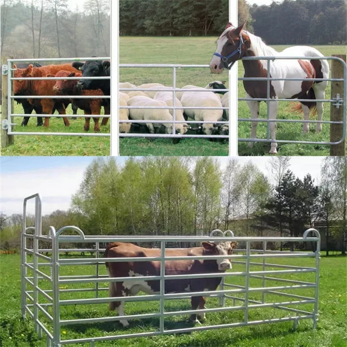 Heavy Duty Metal Ranch Fence Panels Galvanized for Livestock Enclosures