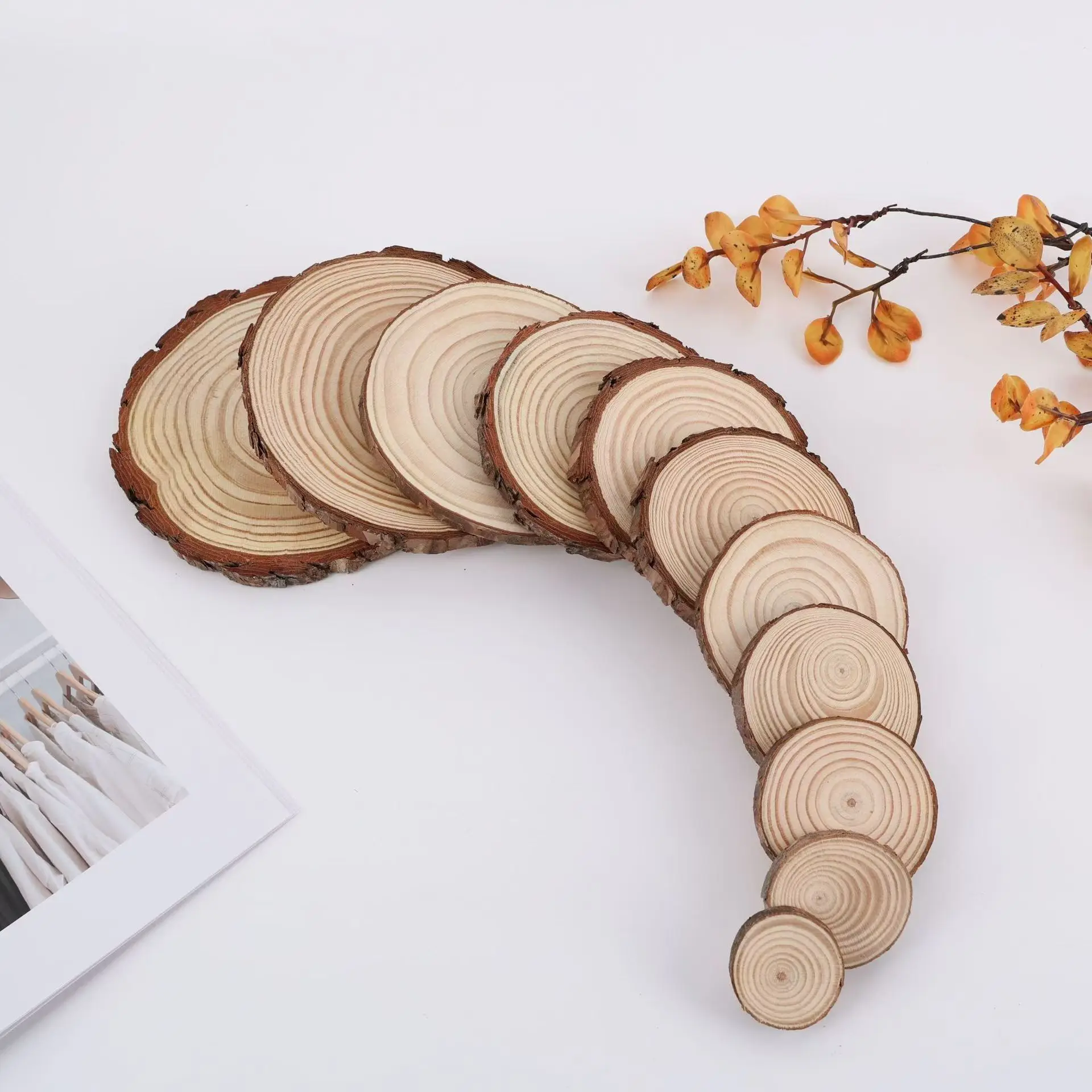 Wisdom Unfinished Natural Wood Slices Craft Wood kit Circles Crafts Christmas Ornaments DIY Crafts with Bark for Crafts