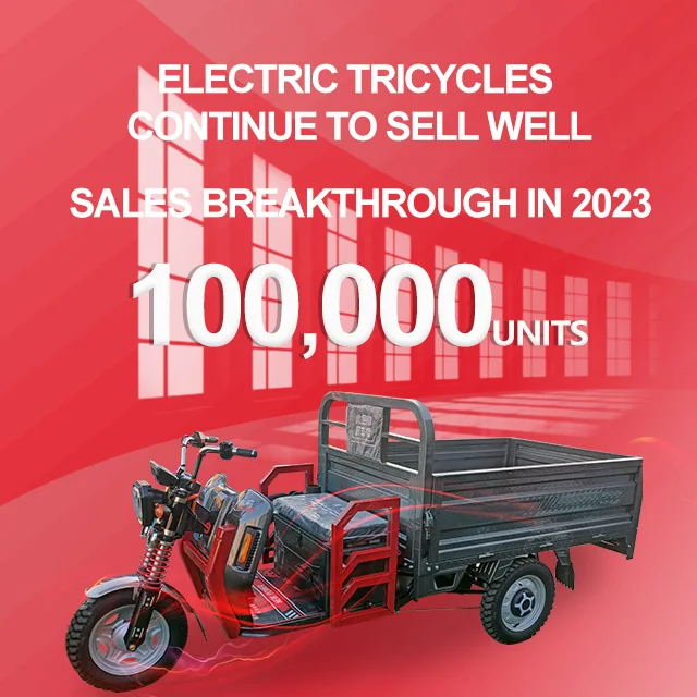 E-Trikes Cheap  Delivery Black Critter Adult Trike 7 Speed Motorized  Electric Cargo Tricycles