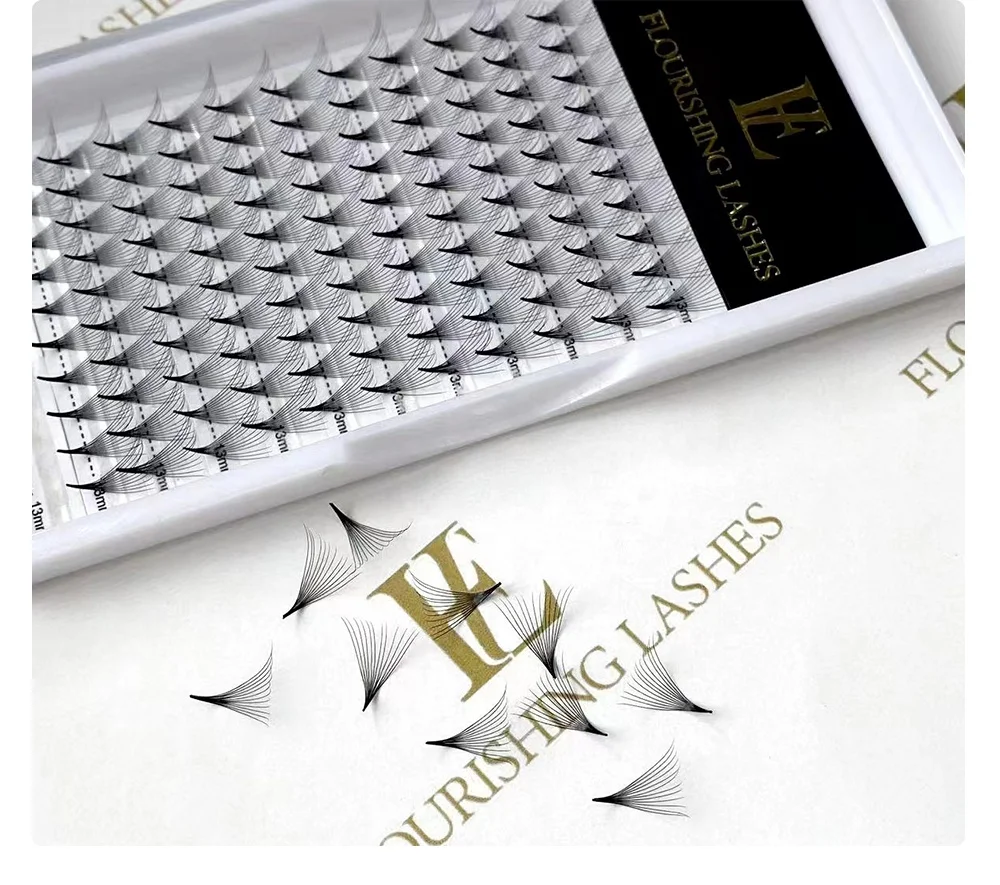 Lash trays pointy/thin base eyelashes 6D lashes 10D 12D 0.05 0.07 promade lash extensions premade volume fans eyelash extension
