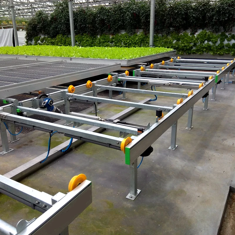 Automatic Ebb and Flow Rolling Benches /seedbed for greenhouse used