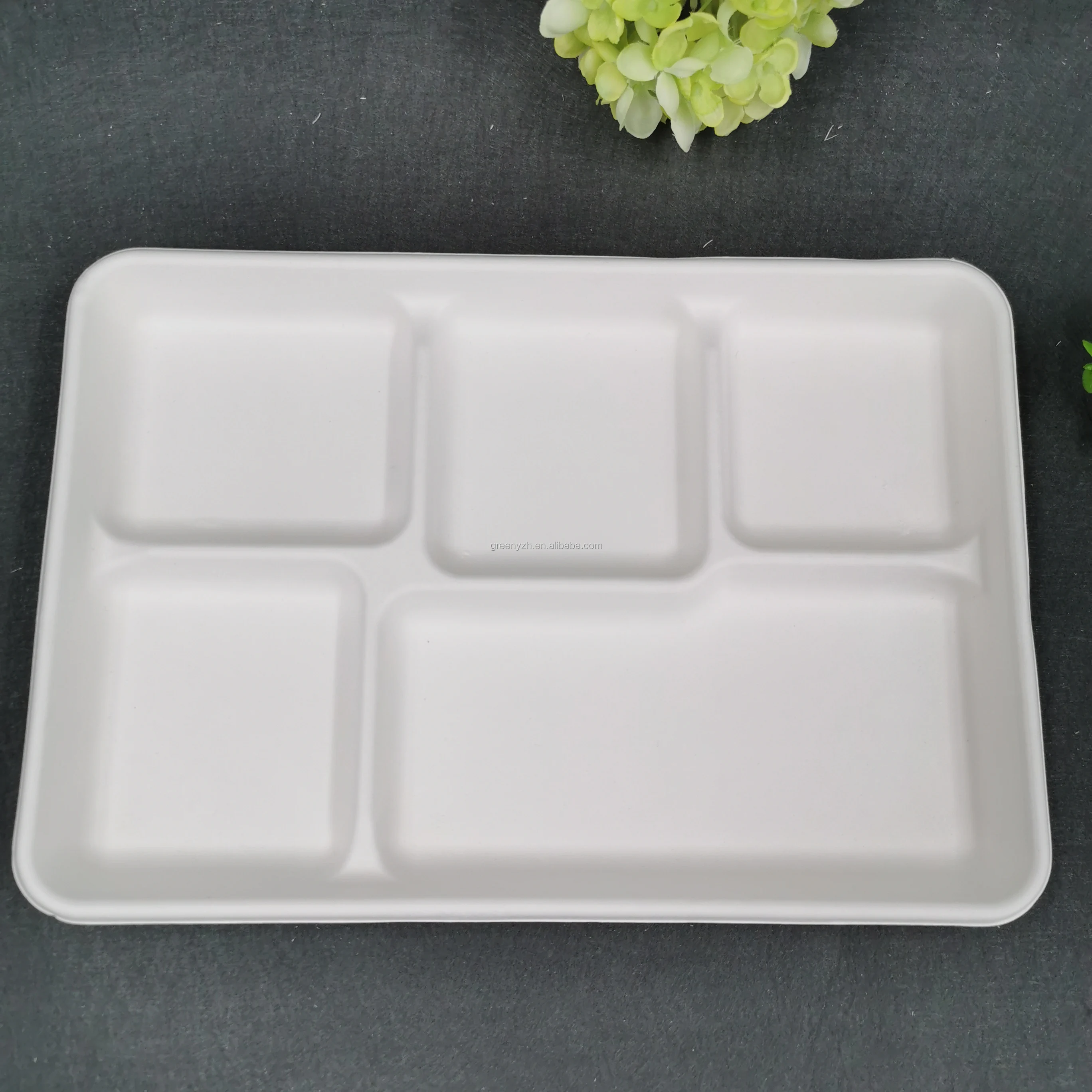 Biodegradable dinnerware sets compostable Disposable Sugarcane Bagasse 5 compartment food tray for lunch