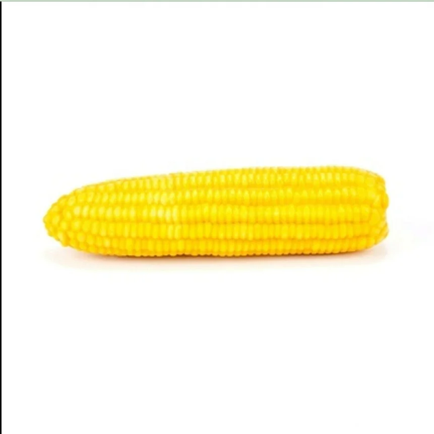 Artificial Corn on the Cob - Decorative Fake Plastic Vegetable Props