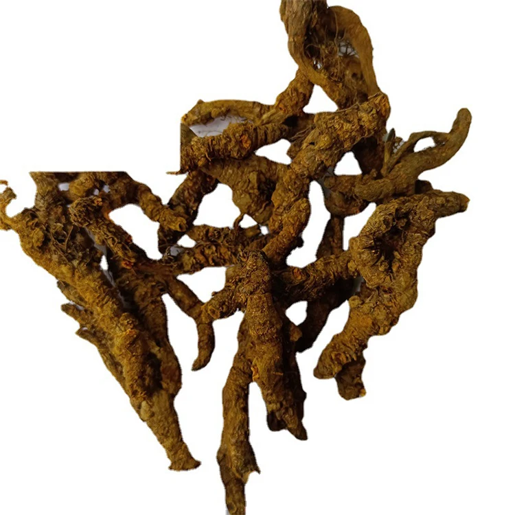 Китайская медицина таблетки травы ХУАН ЛИАН сушеный coptis chinensis