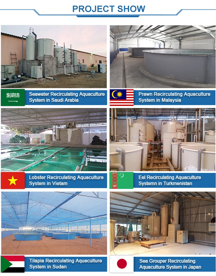 Zhonghang оборудование для выращивания креветок высокой плотности качество воды на