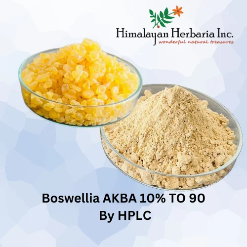Factory Direct Wholesale Bulk Boswellia Serrata Extract Powder Mastic Gum Extract Powder