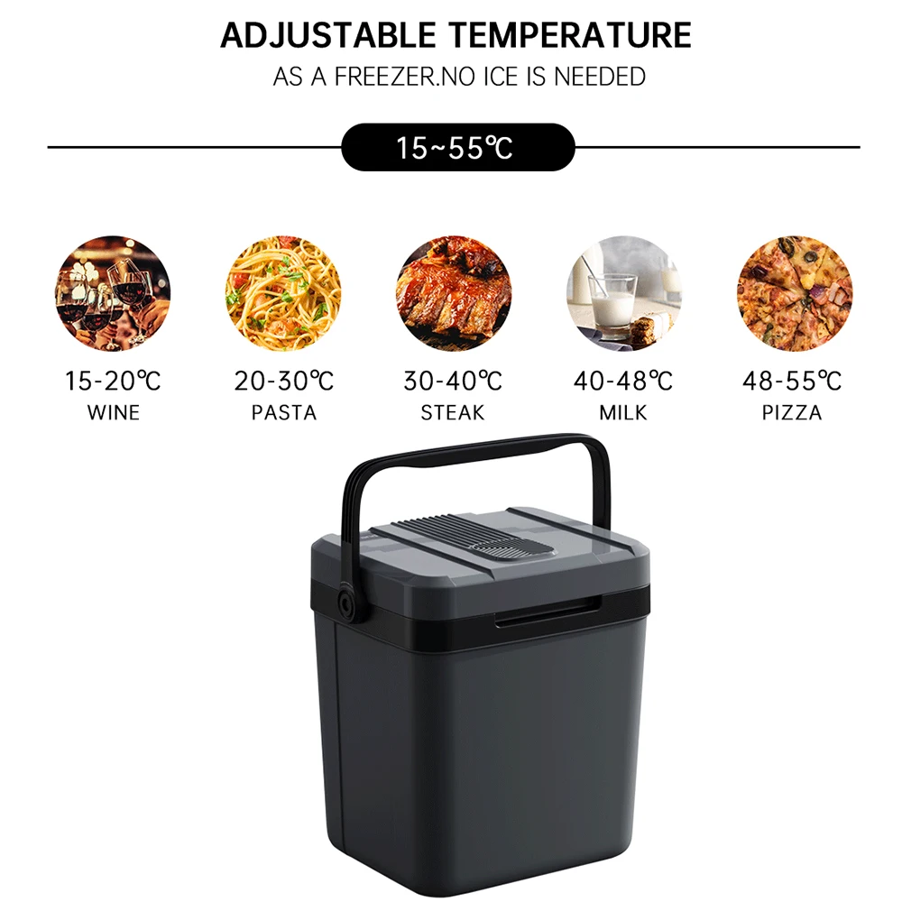 27L blue cooler box DC/AC single cold with handle cooler electric box for camping 24V high quality