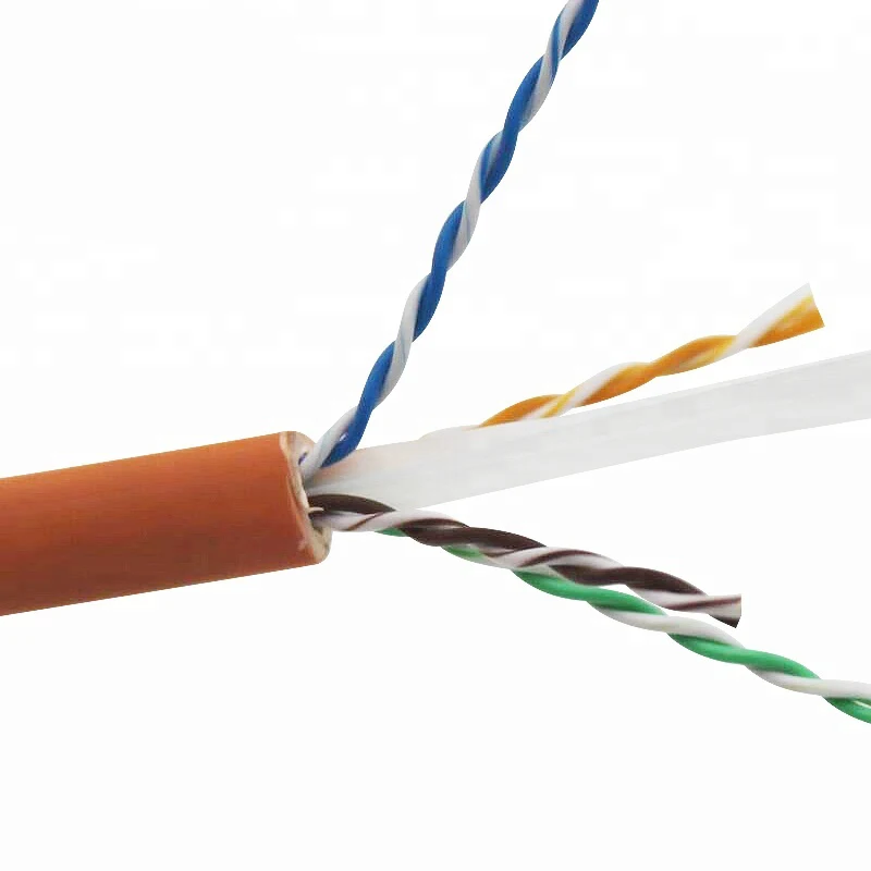101.jpg