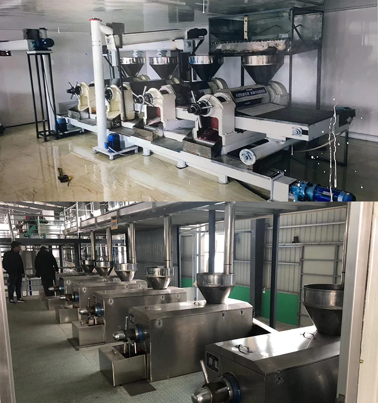 Industrial Masterd 450KG/H-500KG/H Olive Oil Press Machine With Vacuum Filter