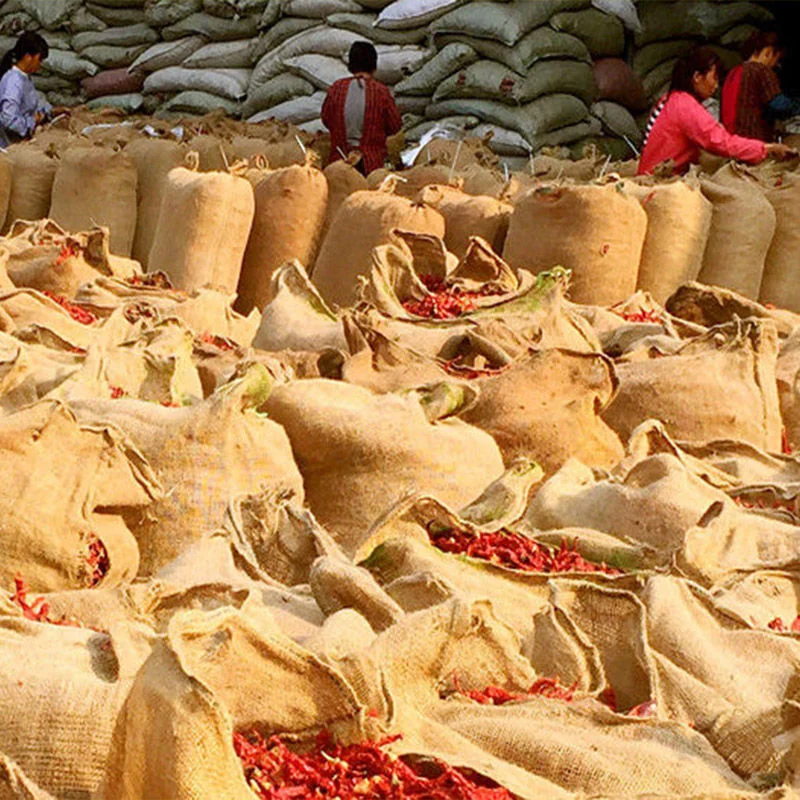 Wholesale Dried Herb Granule Chili Natural AD Raw Hot Spicy Chili Sauce Sichuan Red Pepper Seeds Fd Chili Devil Pepper