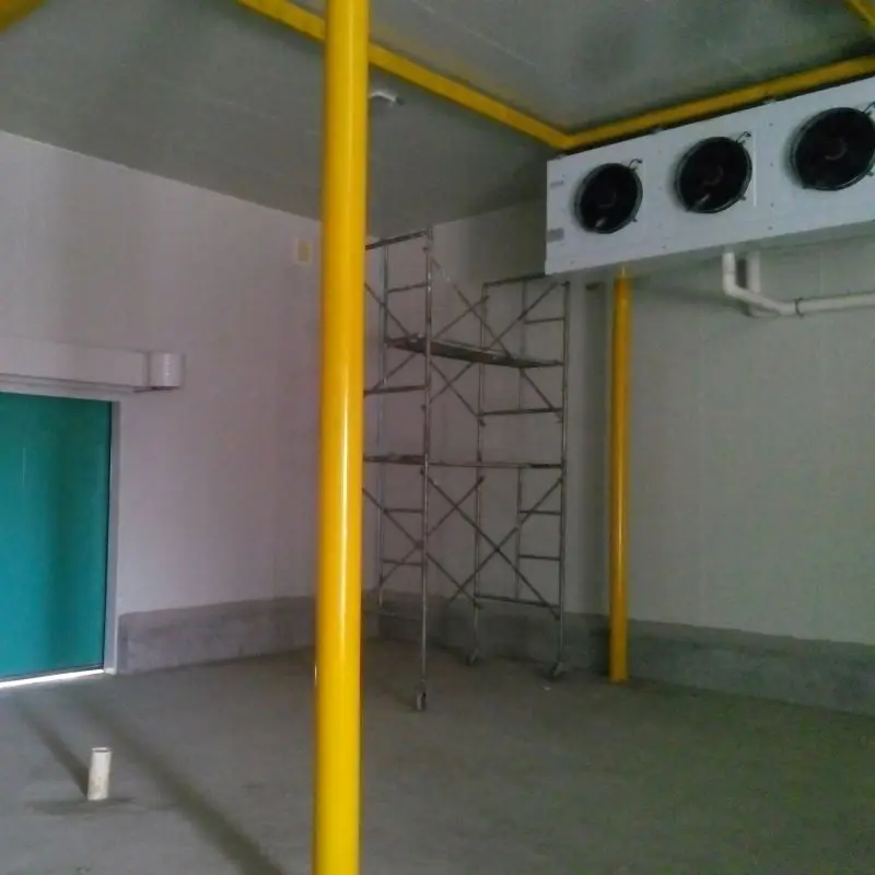 Low Cost Freezer Room For Supermarket