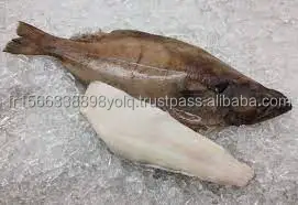 Buy Frozen Greenland Halibut Fish And Head for sale