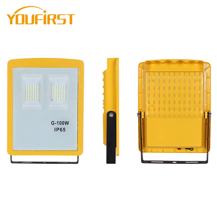 Newt Product Die Casting Aluminum Garden Fiood Lamp IP65 Outdoor Rainproof 100 200 300w Rechargeable LED Floodlights