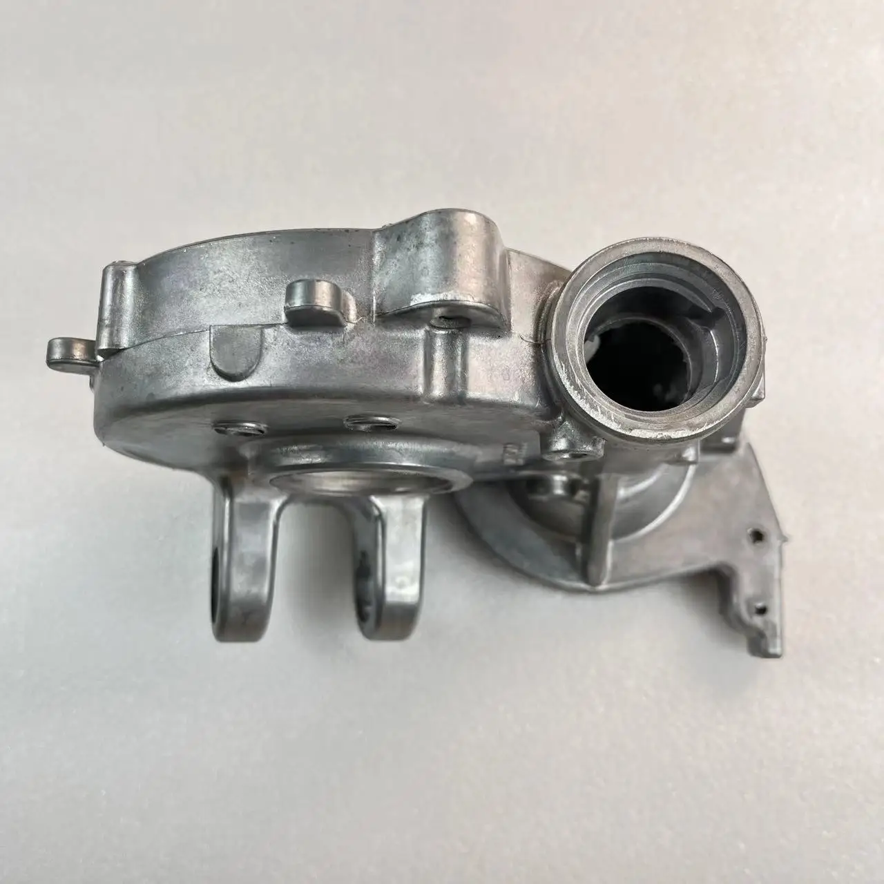 Factory Manufacturer Best Selling custom Magnesium aluminum Alloy Worm Dry Shell die cast supplier