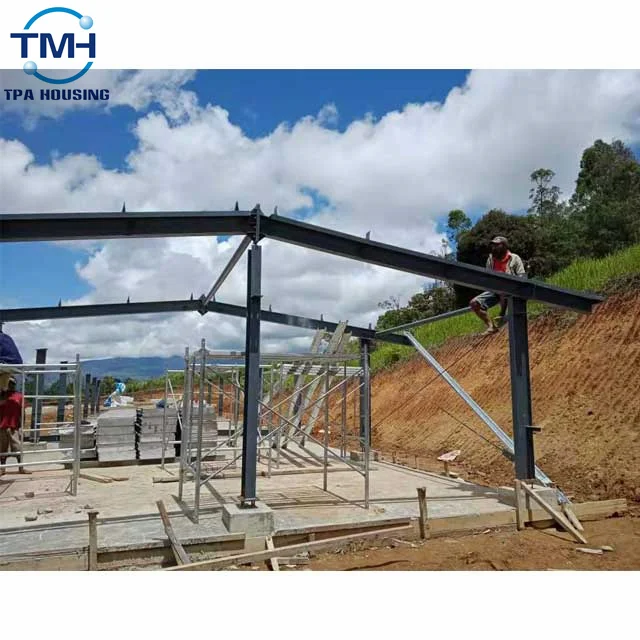 China Factory Poultry Farm Chicken House Broiler House Poultry Farm Steel Structure Farm Shed