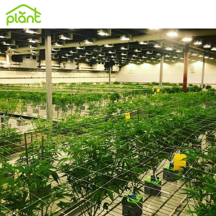 USA Canada Medical Herb Seedbed Hydroponic Rolling Benches Flood Table Grow Trays Rolling Bench