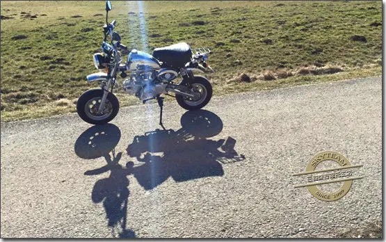 
SKYTEAM E5 E4 50cc Skymini monkey bike monkey motorcycle (EURO5 EEC APPROVED) 