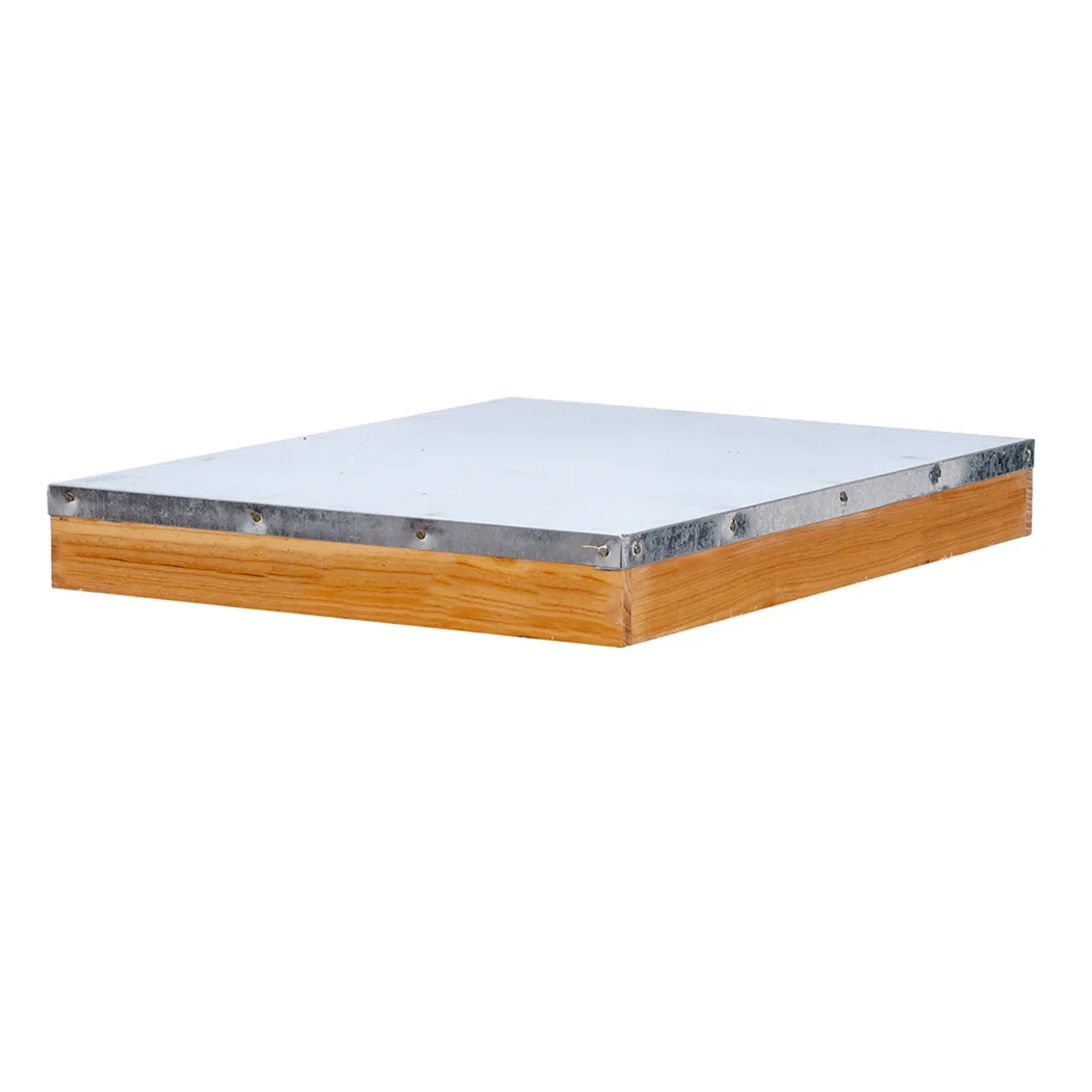 Best beehive 10 frame hive include deep and super bee box