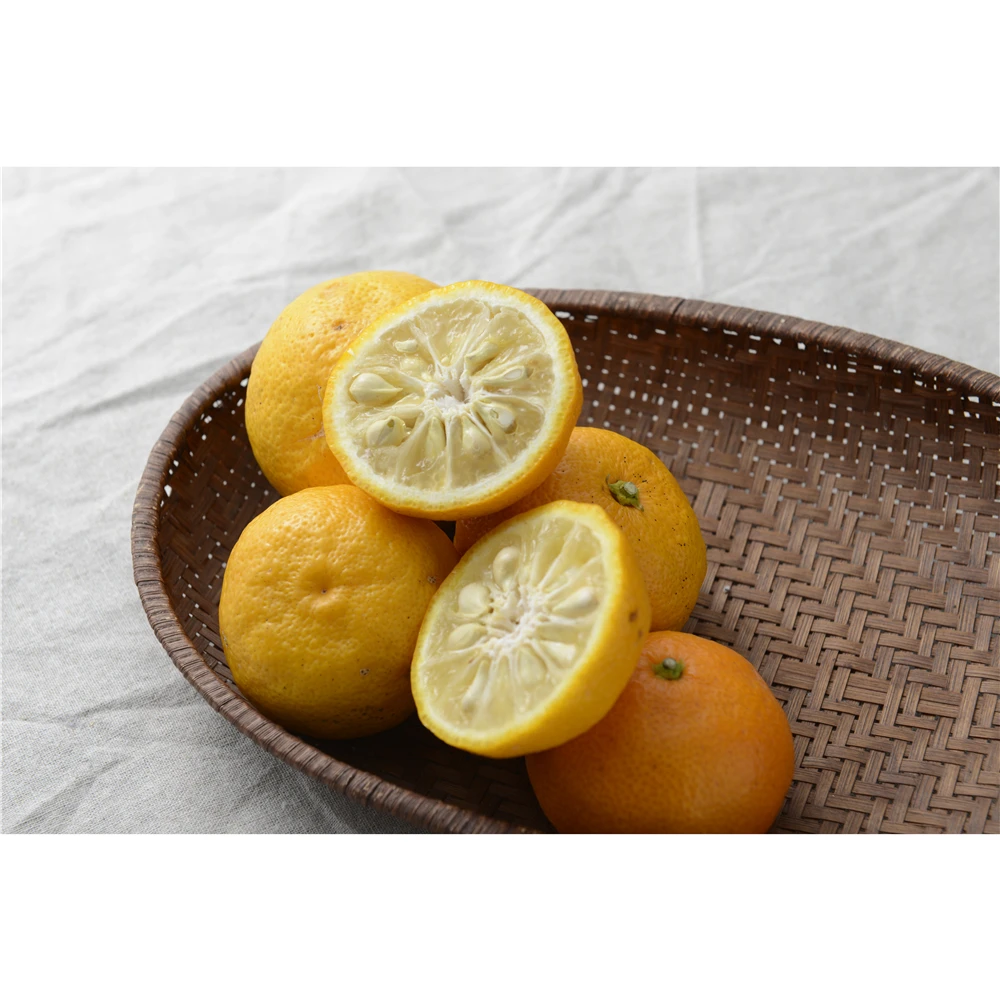 
Japanese healthy pure flavors food seasoning products for wholesale 