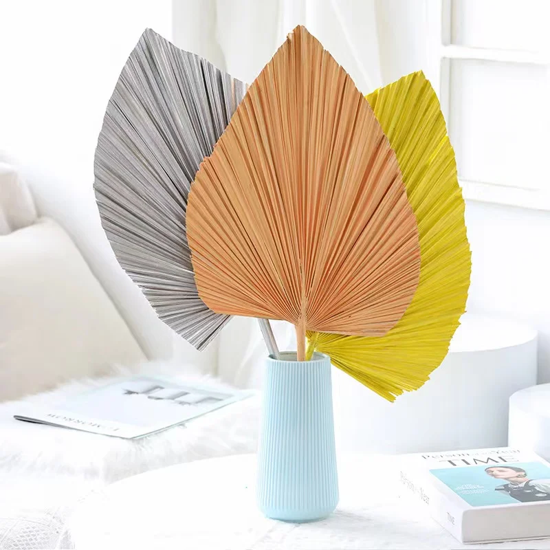 Сушеный веер для пальмы в классическом стиле свадебного