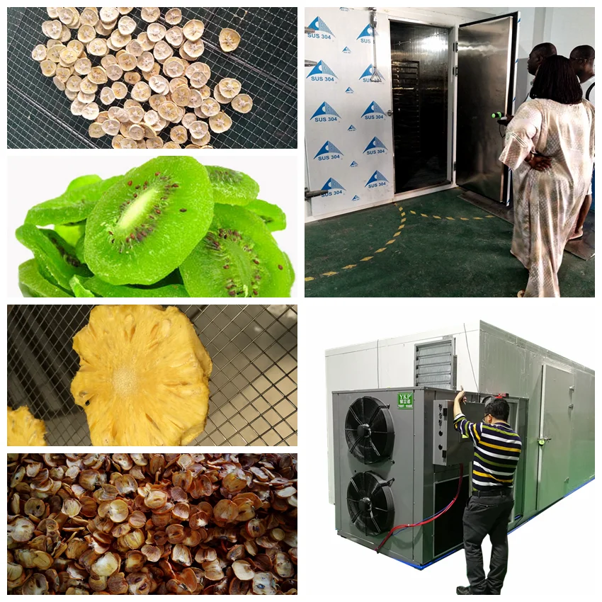 Industrial used cabinet dryer fruit processing drying machine mango drying chamber dates dehydrator oven