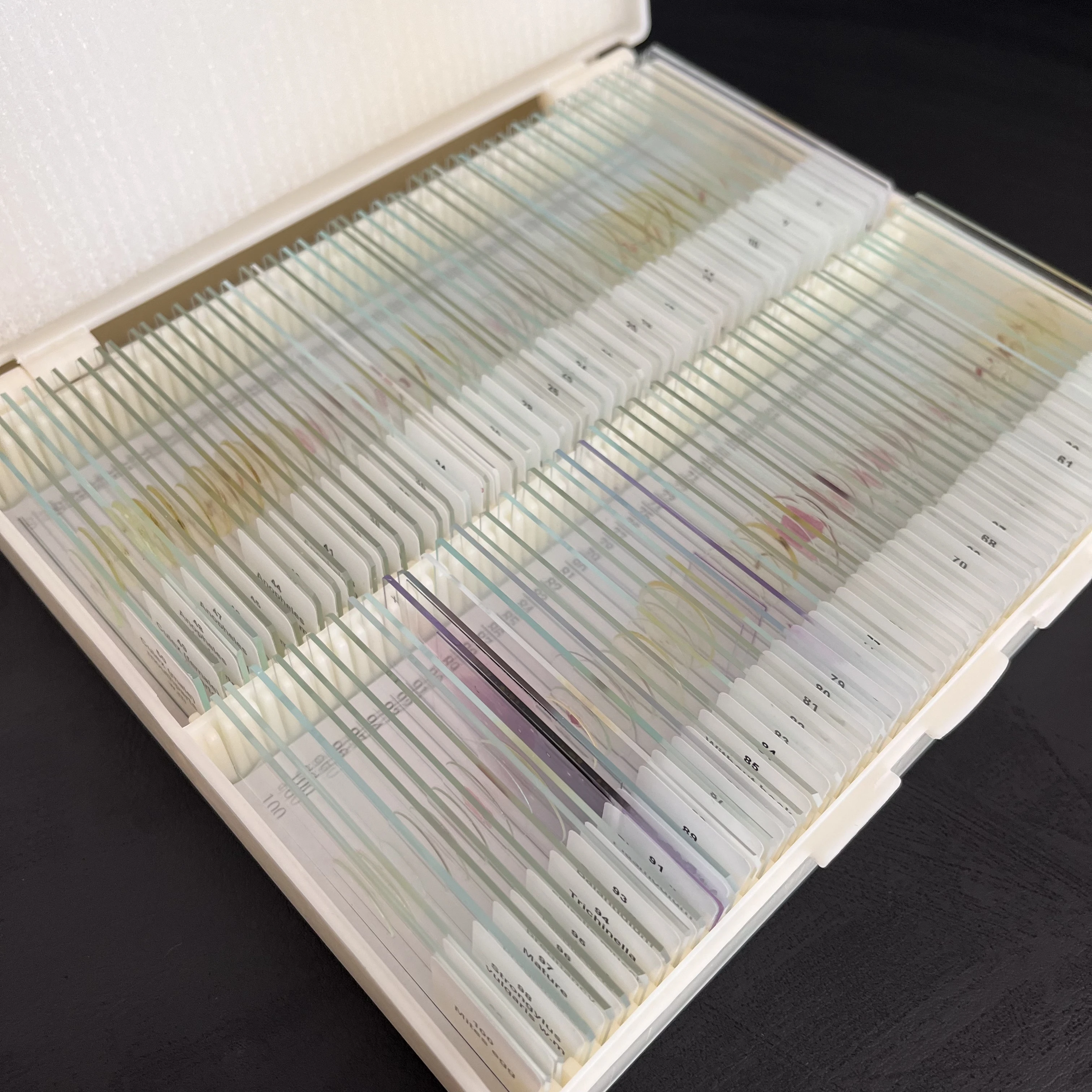 100pcs Human Histology Prepared Slides Microscope Medical Histology Prepared Slides