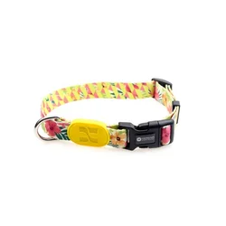 Multifunctional pet training collar with great price