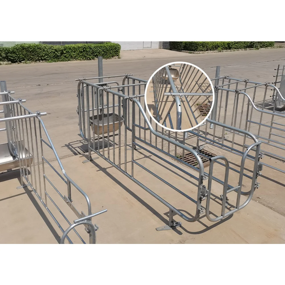 Factory direct sale galvanized cages for pigs in gestation pig farming equipment pig gestation crate