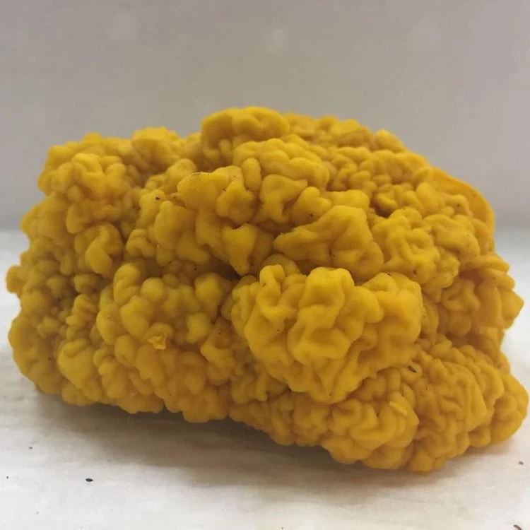  Золотистый гриб Detan Fresh Tremella Aurantialba