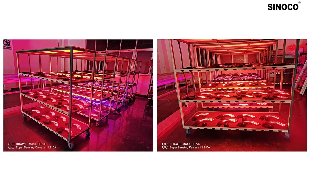 Red Light Therapy Pad Horse Equine Therapy Pain Relief Horse Red Light Therapy Pad