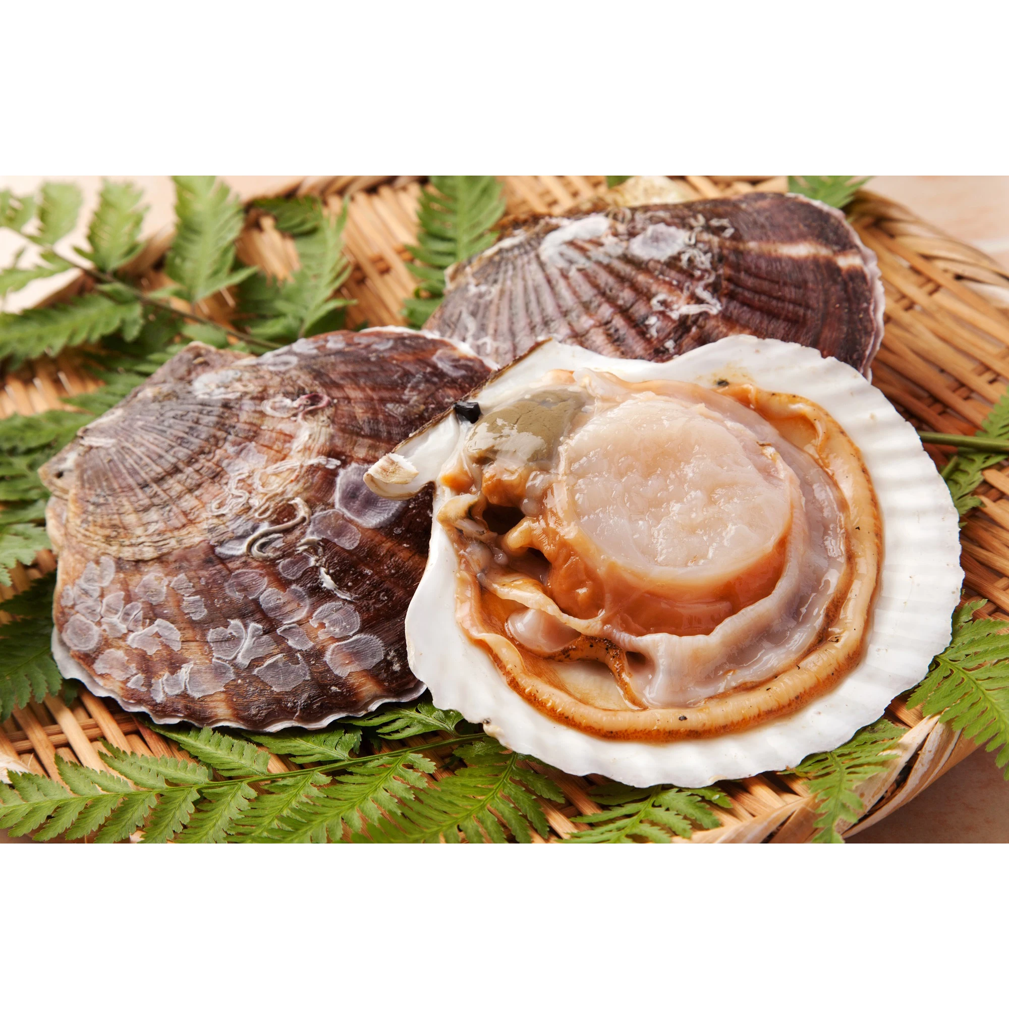 
Japanese Scallops w/o Shell Price Fresh Sea Scallop For Health 