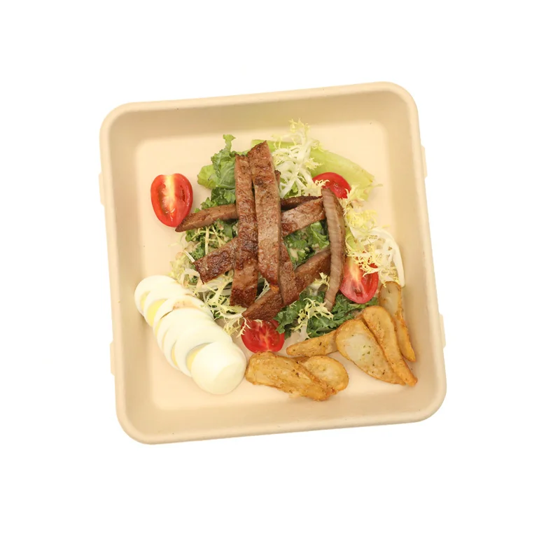 Food Grade 100% Biodegradable Bamboo Pulp Containers Disposable Trays With