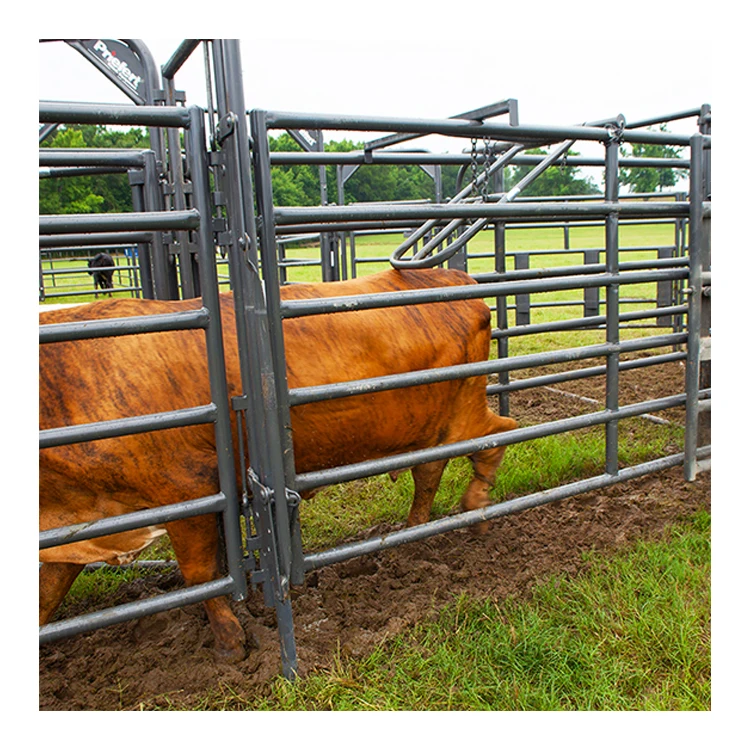 High quality factory supply australia standard 12ft galvanized farm yard livestock cow cattle fence panels for sale