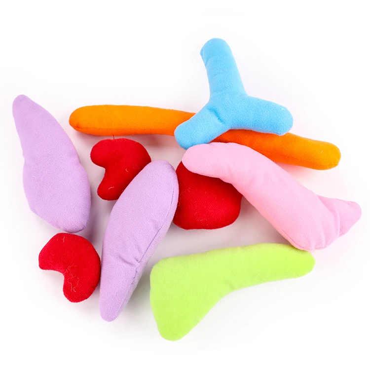 Hot Sale Cheap Human Body Organ Toy with Apron Viscera Montessori Teaching Early Educational Toy for Kid