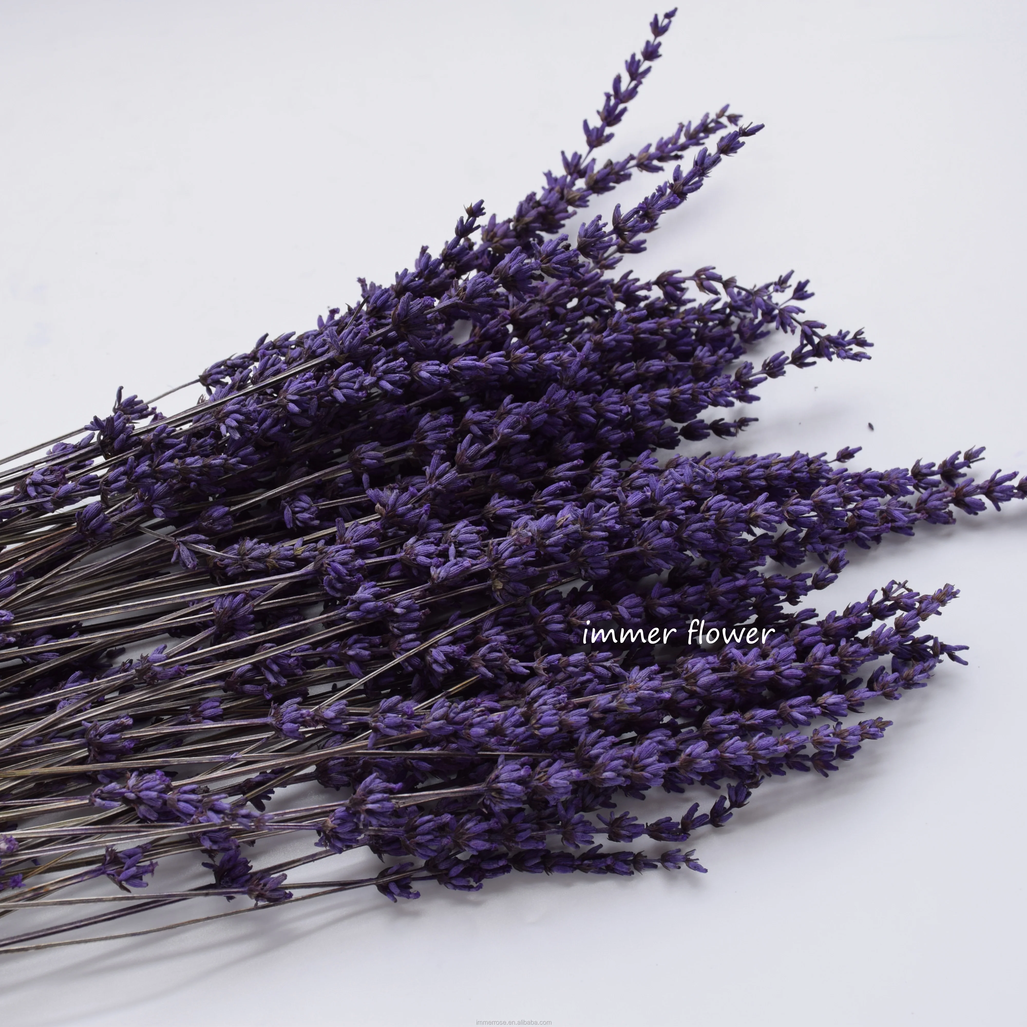 Wholesale Decorative Stabilized Lavender Preserved Lavender Flower