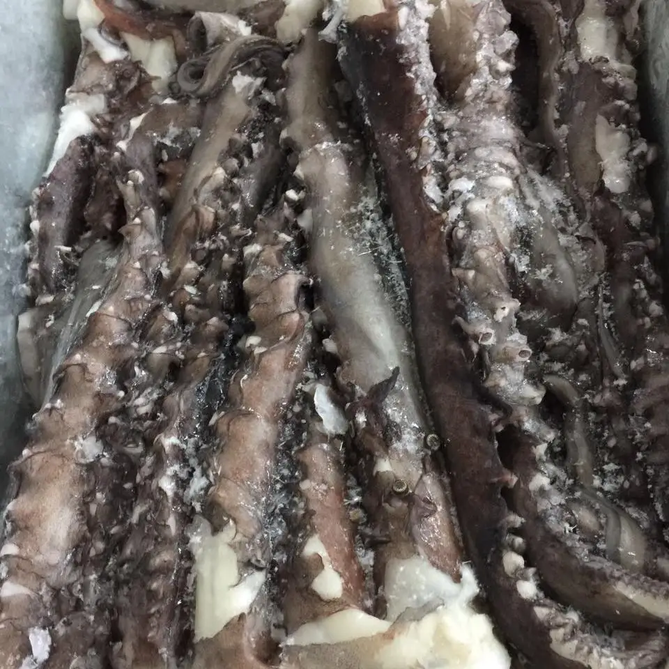 
Frozen Tentacles Of Soft Squid Tentacles 