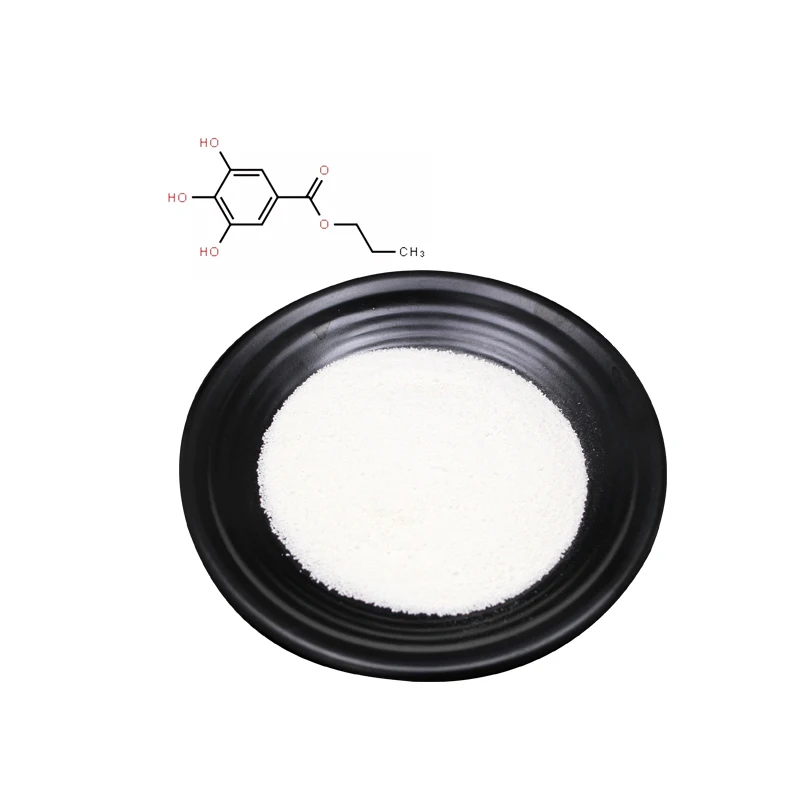 Wholesale hot sale Best price EP grade 99% 99.9% Propyl gallate PG powder manufacturer